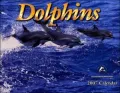 Dolphins 2007 Calendar