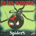 Black Widow Spiders