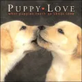 Puppy Love: What Puppies Teach Us About Love