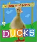 Ducks