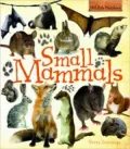 Small Mammals