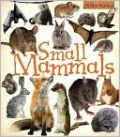 Small Mammals