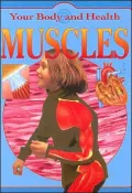 Muscles