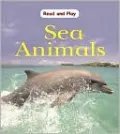 Sea Animals