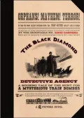 The Black Diamond Detective Agency (Collector's Edition)