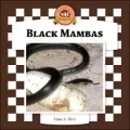 Black Mambas