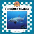 Thresher Sharks