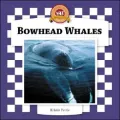 Bowhead Whales