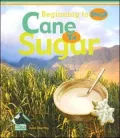 Book cover of Cane to Sugar