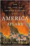 America Aflame: How the Civil War Created a Nation