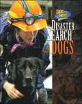 Disaster Search Dogs