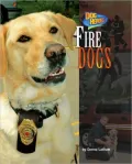 Fire Dogs