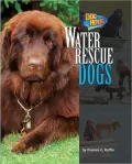 Water Rescue Dogs
