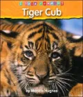 Tiger Cub