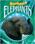 Elephants
