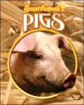 Pigs