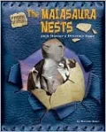 The Maiasaura Nests: Jack Horner's Dinosaur Eggs