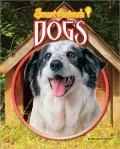 Dogs