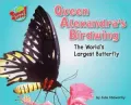 Queen Alexandra's birdwing: The World's Largest Butterfly