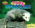 Tricky Opossums
