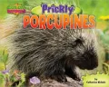 Prickly Porcupines