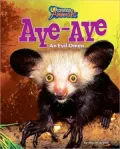 Aye-Aye: An Evil Omen