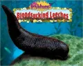 Bloodsucking Leeches