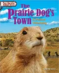 The Prairie Dog's Town: A Perfect Hideaway