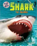 Shark: The Shredder