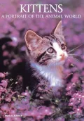 Kittens: A Portrait of the Animal World