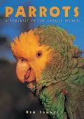 Parrots