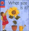 What Size Is It?