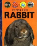 Owning a Pet Rabbit