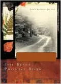Bible Promise Book - NLV Gift Edition