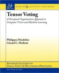 Tensor Voting: A Perceptual Organization Approach to Computer Vision and Machine Learning