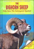 Bighorn Sheep: Help Save This Endangered Species!