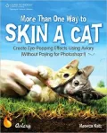More Than One Way to Skin a Cat: Create Eye-Popping Effects Using Aviary (Without Paying for Photoshop!)