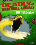 Top 10 Snakes