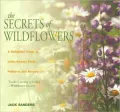 The Secrets of Wildflowers: A Delightful Feast of Little-Known Facts, Folklore, and History
