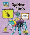 Spider Web