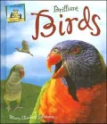 Brilliant Birds