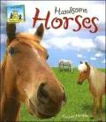 Handsome Horses