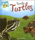 Terrific Turtles