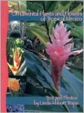 Ornamental Plants and Flowers of Tropical Mexico: A Guide for the Curious Tourist or Resident