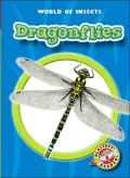 Dragonflies