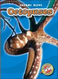Octopuses