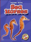 Sea Horses