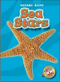 Sea Stars