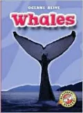 Whales