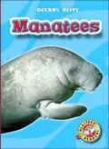 Manatees